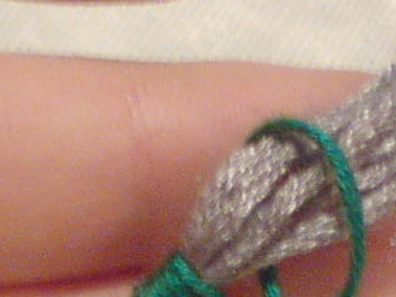 A 2009 phone photo at its own size: colour noise and JPEG blocks
